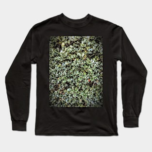 Holly Long Sleeve T-Shirt